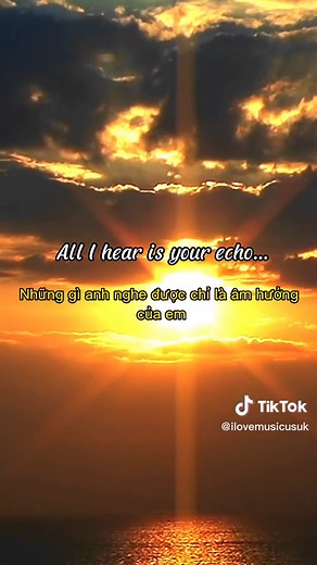 echo - Alexander Stewart #echo #alexanderstewart_ #foryou #lyrics #music #fyp #fy #singing