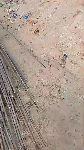 Men at work | David Kennedy David