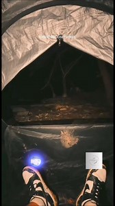 Was he surrounded by wild animals or something else? What do you hear and see?#theparanormalchic #spookyseason #happyhalloween #camping #fear #scared #spooky #wildlife #wendigo #creeper #cryptids #ghost #haunted #horror #terrorsobrenatural #terror #woods #paranormal #paranormalvideos #supernatural #paranormalinvestigation #fyp | ParanormalLink