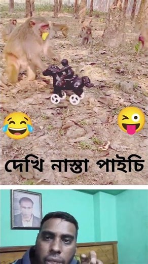 monkey is thinking #funny #shortvideo