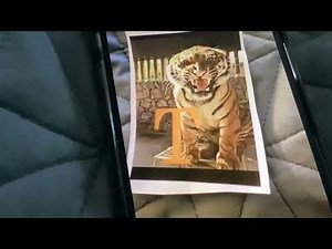 Sesame Street T Tiger Song