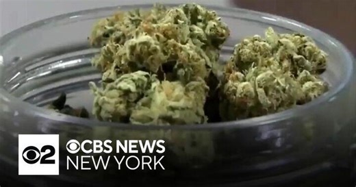 Federal government acknowledges marijuana's value for medical use