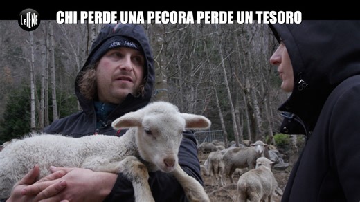 Chi perde una pecora perde un tesoro