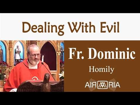 Perfect Example - Feb 06 - Homily - Fr Dominic