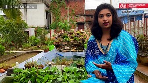 23rd year old girl scripts success in Ornamental Fish Business #Jharsuguda #ornamental #fish #success | JsgLive