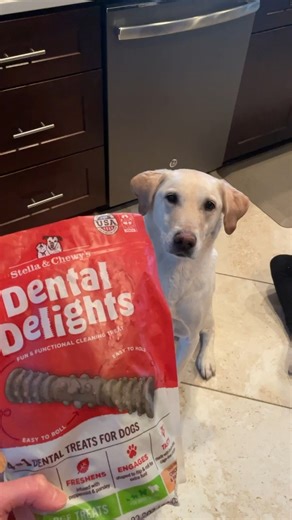 Did you know that 70% of dogs have dental disease by the time they are 3 years of age? Your dog’s dental health is important and can affect other organs in the body such as their heart, lungs, liver and kidneys. When you invest in your dog’s dental health, you are investing in their overall health and longevity. Brushing your dog’s teeth everyday is ideal, however, if that’s not realistic for you and your pup, consider using Stella & Chewy’s Dental Delights once daily. Your dog will love the rea
