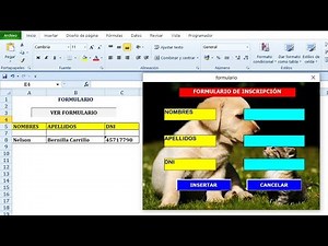 CÓMO HACER UN FORMULARIO CON VISUAL BASIC EN EXCEL