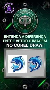 Vector vs. Image in Corel Draw: What's the difference? 🐬