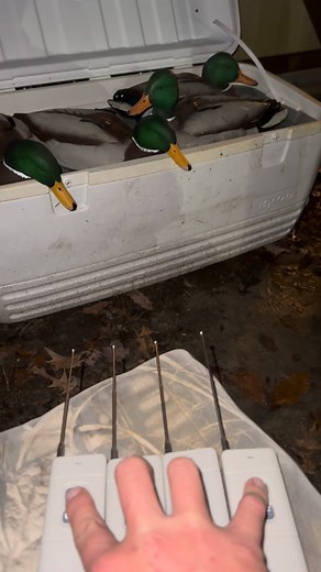 185K views · 7.5K reactions | All at once  Sike nah | Mediocre Outdoors | Facebook