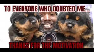 So blessed. We just getting started | Butler Kennels Rottweilers