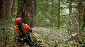 First Look at ‘The Last Woodsmen’ — Watch Now!