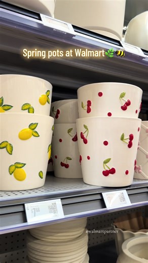Cutest spring ceramic pots that give instant “fresh start” vibes 🌿🌼 #walmartcreator links in my bio to my Walmart storefront! #spring #homedecor #walmart #cute