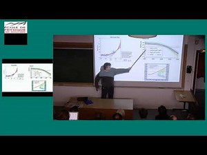 Some Fundamental Models of Environmental Flows and their Application