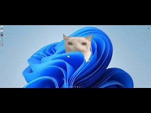 how to change hz and get long arms in vr