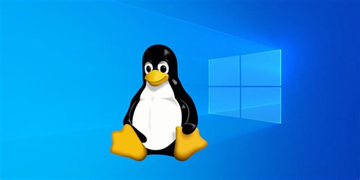 歷史新高！已有9成遊戲可在Linux上執行 能取代Windows 11嗎？