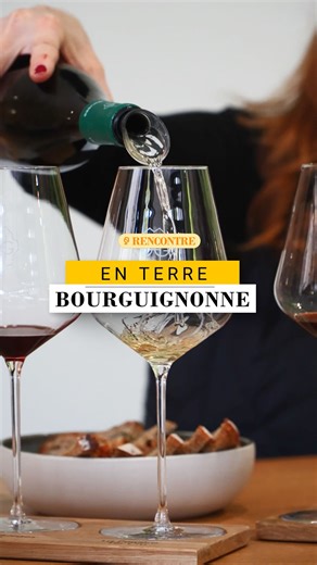 Allons à la rencontre d’un domaine ! 🍇 Nous rencontrons aujourd’hui Grégory Gouges dans son nouvel espace dégustation 🍷 Le domaine @domaine_henri_gouges ouvre ses portes à tous les amateurs de vin, offrant ainsi la possibilité de venir découvrir ses cuvées. Pour cela, trois formules de dégustation sont proposées. - La première vous permet de déguster trois vins du domaine. - La deuxième vous offre une dégustation de cinq vins. - Enfin, la troisième formule vous fait découvrir six premiers crus