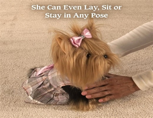 Shower a sweet Yorkie with love! This collection includes custom outfits and a pretty pet bed. Shop Now! | The Ashton-Drake Galleries