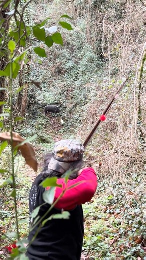 A Few Arrows with my Longbow | Boar Target