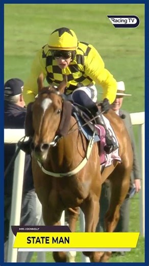 Bullish noises on STATE MAN from Willie Mullins 👀 #horse #horseracing #racingtv #britishhorseracing