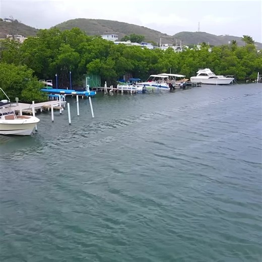 3.1K views · 106 reactions | Casas flotantes Lajas PR ♥️ | La vía del chicharrón | Facebook