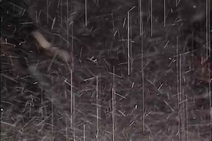 STS Fire Academy Class