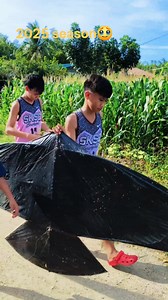 98K views · 1.1K reactions | 2025 saranggola season is waving #fbreels #fbvirals #kalitar | Kalitar Vlog | Facebook