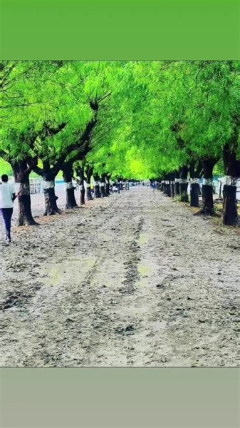 The Voice of the People Forum, VOTPF Live Video Show Announcement Topic: Exposing Land Grabbing in Anyuak Land? The speakers . Hon. Isaac Ajiba Ochang . Hon. Barnaba Okony Gilo. 📅 Date: Jan 26, 2024 🕒 Time: 0500 PM CT & 0600 PM New York. 🌐 Platform: Voice of the People Forum, Facebook Live, YouTube Live and Clubhouse. Join us for a thought-provoking live video show as we delve into the pressing issue of land grabbing happening in Anuak Land in South Sudan. Together, we will shed light on this