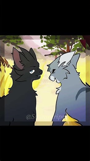 Feathertail and Crowfeather edit! Creds in desc! /For ‪@YellowfangWC22‬ editing comp!/ #crowfeather
