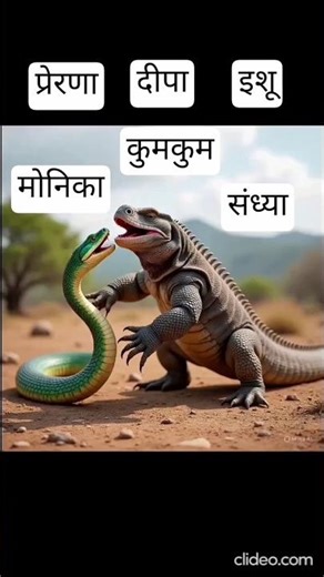 Komodo Dragon vs white snake 🐍🐍। battlefield on the beach।