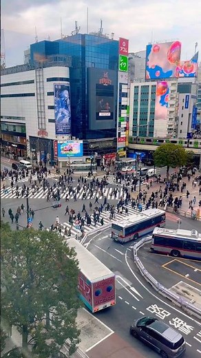The World's Busiest Crossing! Amazing View of Shibuya Scramble 🚶‍♂️✨ 世界最大の交差点！渋谷スクランブル交差点の絶景