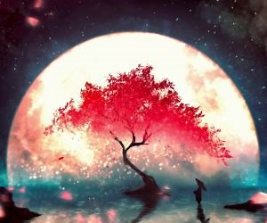 Sakura Tree Moon Live Wallpaper
