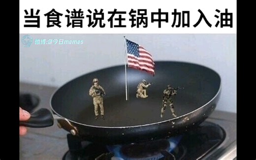 今日meme图12