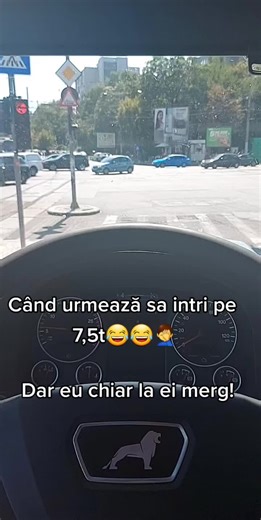 City Driving Experience: Dashboard Views and Urban Scenes