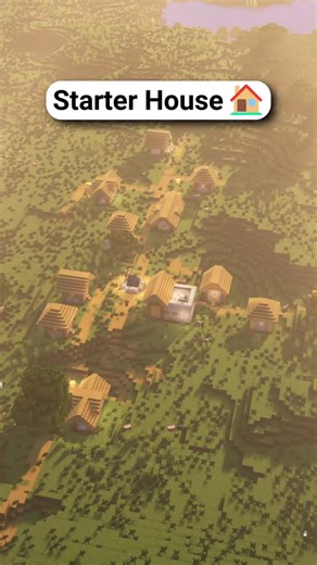 Frimousso on Instagram: "Minecraft Starter House 🏡 Download and 3D build guide Link in my profile 📝 #minecraft #minecraftbuilding #minecrafttutorial"