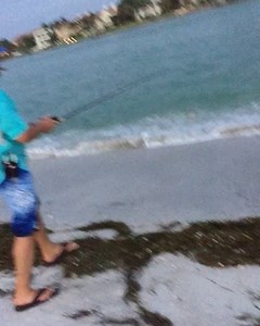 Snook fishing with my favorite shrimp bait from DOA @doa_fishing_lures @costasunglasses @pelagicgear | Fishingfins | Facebook