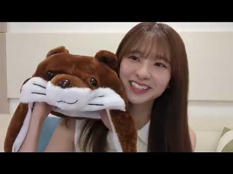 LIVE: 乃木坂46 SHOWROOM「のぎおび」菅原咲月 2024.07.02