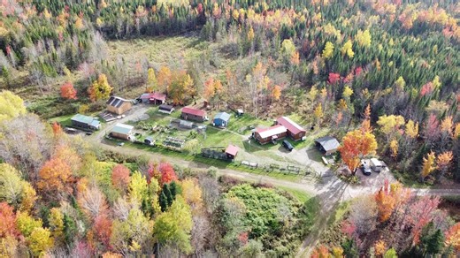 Why are people living off grid in Maine? It’s simple. - The Boston Globe