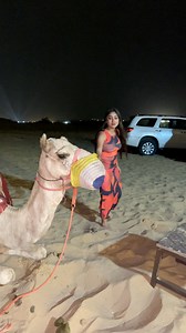412K views · 8K reactions | DubaiCamel ride করতে এসে আরেকটু হলে উট আমাকে কামড়ে দিচ্ছিল❌ | Priyasmita Das | Facebook