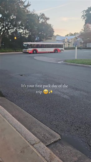 Experience the Magic of Disney Transportation