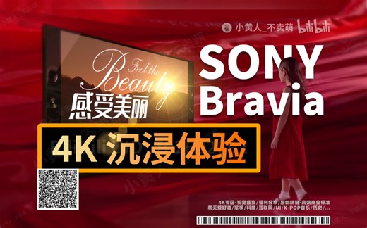 风光风景｜感受美丽 Feel the Beauty [日本 索尼SONY 4K超高清 BRAVIA电视 演示测试片视频]（4K 120FPS 120Mbps）