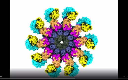 Nature | 吴皓组破解NLRP3炎性小体激活组装机制