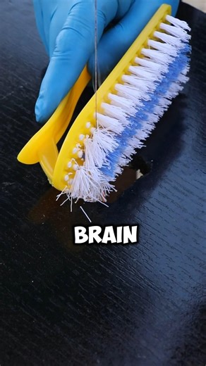 comment if you know 👇 ll #quiz