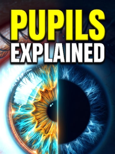 👁️ Why do your pupils get smaller in bright light and bigger in the dark? Your iris contains tiny muscles that automatically adjust your pupil size, helping control how much light reaches your retina. But that’s not all! Your pupils can also widen during fear, excitement, or intense focus. 🧠 Your eyes are constantly adapting—even when you don’t notice it! Follow for more fascinating human body facts and science-based medical animations. 🔬 #EyeFacts #HumanEye #PupilDilation #EyeAnatomy #HumanB