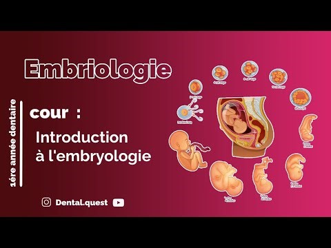 1er cours du module de embryologie "introduction à l'embryologie".