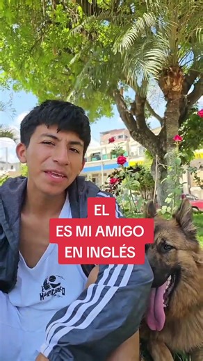 Cuentas recomendadas