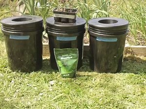 Kratky Method-DWC-Compost Tea Hydroponic Experiment. Hydroponic Tomatoes