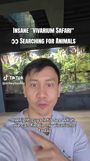 Exploring My Vivarium: Animal Discoveries