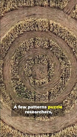 Crop Circles Mystery
