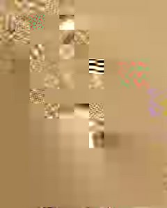 34K views · 4.6K reactions | Can you Run or Walk to the top of Mount...