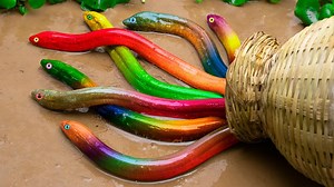 292K views · 3.8K reactions | Stop Motion Rescue The Koi Fish From The Catfish And Eel Prison Colorful Koi | Kids Toy TV | Facebook